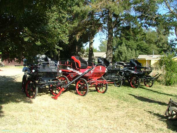 Horse Carriage Driving Feedback