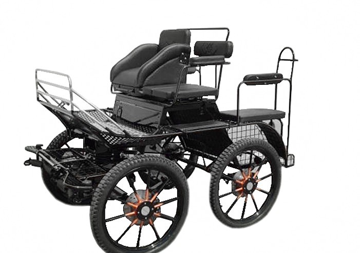 BTH-04 Horseback Sports Driving