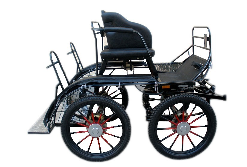 BTH-04M Marathon Competition Carriage