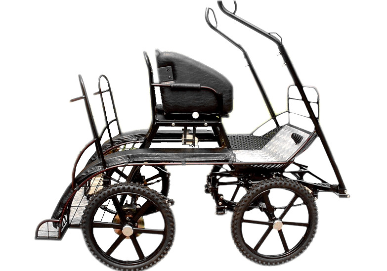 BTH-08 Pony Competition