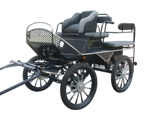 BTH-01 Horse Training Carriage