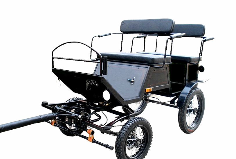 BTH-06 Pony Showing Cart