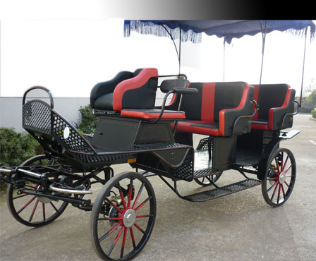 BTH-03B Sightseeing Horse Buggy