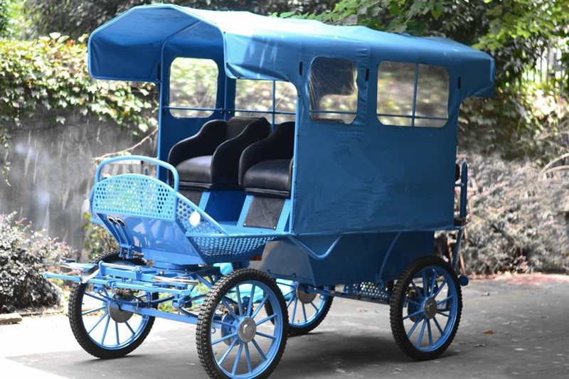 tourist wagonette BTH-10C