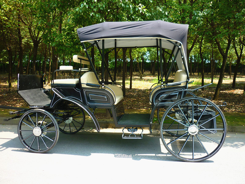 BTH-11 Elegant Victoria Carriage