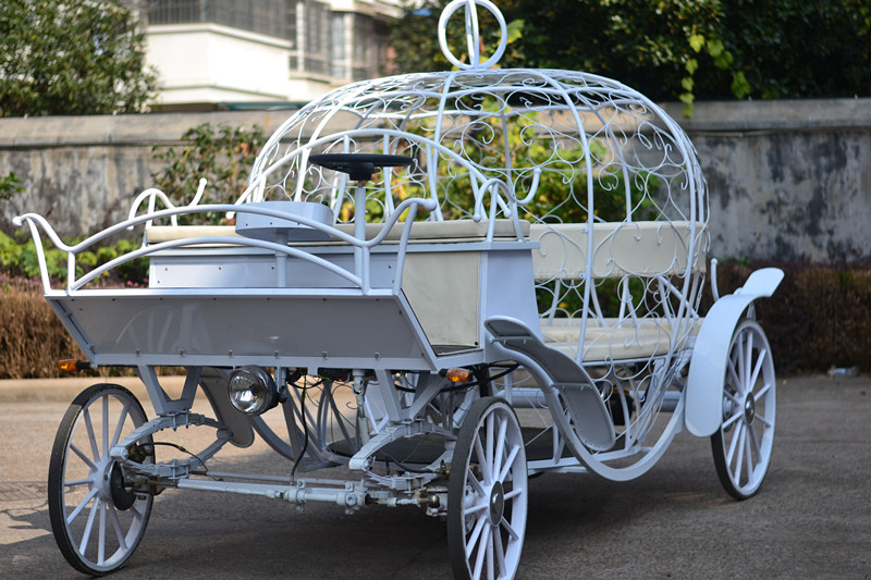 Electric Cinderella carriage