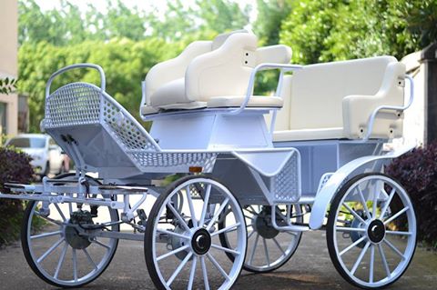 White horse buggy