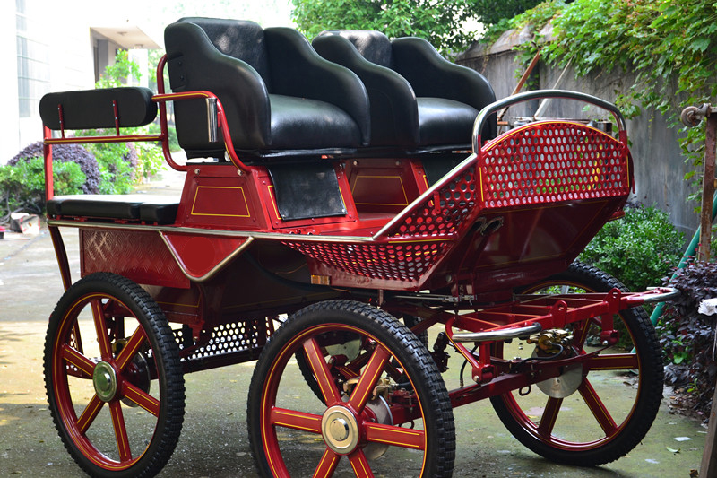 Double driving seat marathon cart